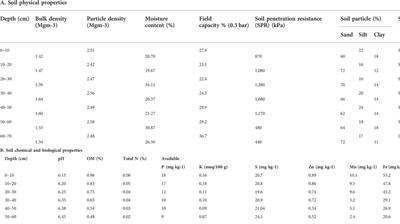 Conservation tillage and residue management improve soil health and crop productivity—Evidence from a rice-maize cropping system in Bangladesh